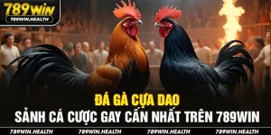 Đá Gà Cựa Dao - Sảnh Cá Cược Gay Cấn Nhất Trên 789win